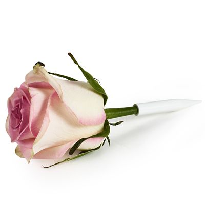 PME Flower Pick Bud Vases For Cakes Medium - Pack of 12 image(5)