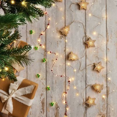 3m Holly Light String image(5)