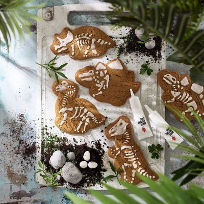 Natural History Museum Palaeontologist in Training Gingerbread Decorating Kit image(2)