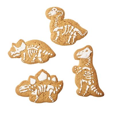 Natural History Museum Palaeontologist in Training Gingerbread Decorating Kit image(3)