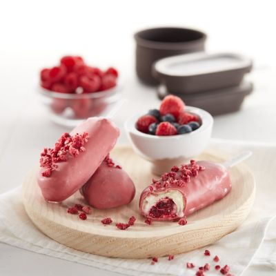 Lékué Classic Coated Ice Cream Moulds image(8)