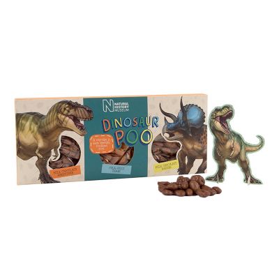 Natural History Museum Dinosaur Poo Confectionery – 300g | Lakeland