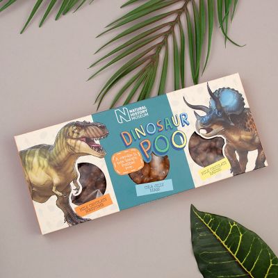 Natural History Museum Dinosaur Poo Confectionery – 300g image(2)