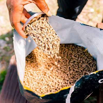 Ooni Premium Pizza Oven Pellets – 10kg image(4)