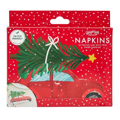 16 Ginger Ray Festive Car Napkins image(5)