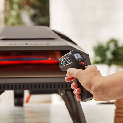 Lakeland Infrared Thermometer image(2)