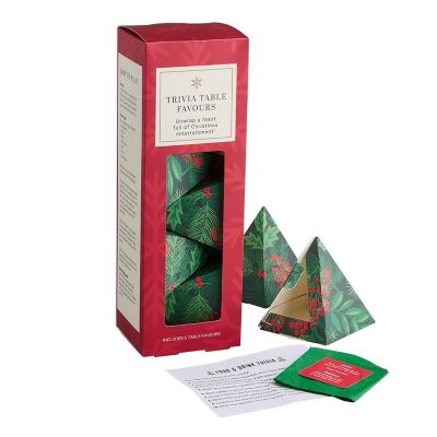 Festive Trivia Table Favours  image(1)