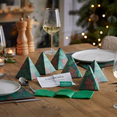 Festive Trivia Table Favours  image(2)