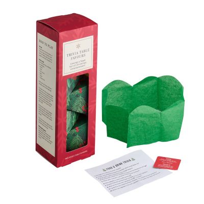 Festive Trivia Table Favours  image(4)
