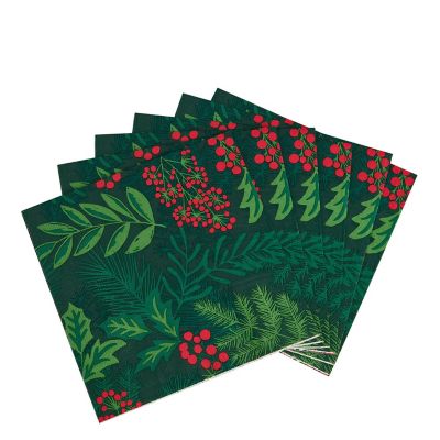 20 Lakeland Festive Foliage Napkins image(3)