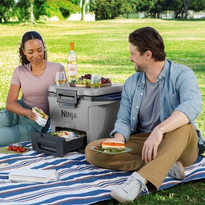 Ninja FrostVault 28L Cool Box Grey FB131UKGY image(7)