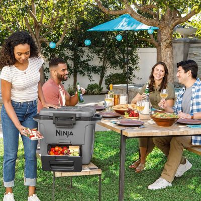 Ninja FrostVault 28L Cool Box Grey FB131UKGY image(8)