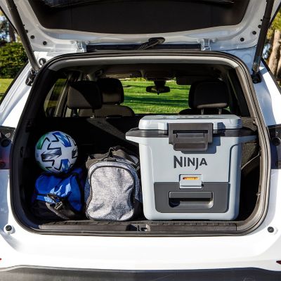 Ninja FrostVault 28L Cool Box Grey FB131UKGY image(9)