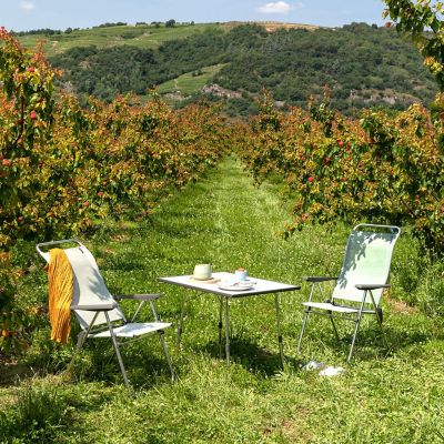 Lafuma Camping Chair Seigle image(2)