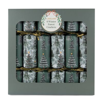 6 Lakeland Winter Forest Balance Board Crackers image(10)