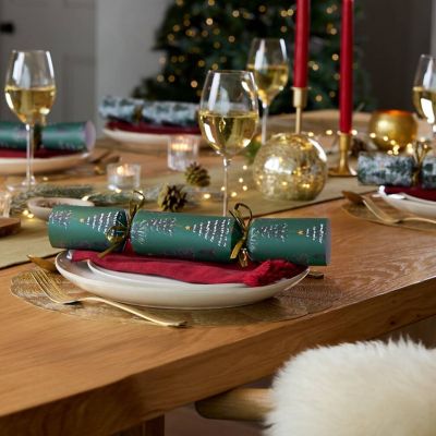 6 Lakeland Winter Forest Balance Board Crackers image(7)