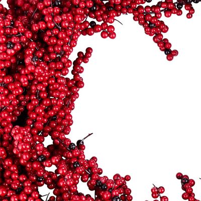 Lakeland Winter Berry Wreath image(3)