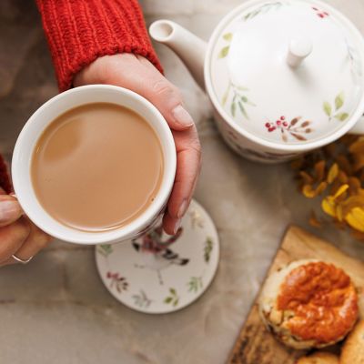 Tipperley Hill Winter Robin Fine China Mug and Coaster Set  image(6)