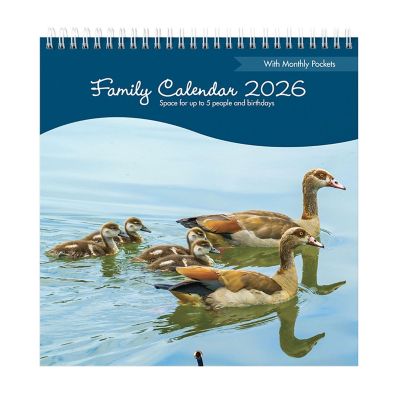Busy B 2026 Family Calendar