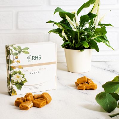 RHS Clotted Cream Vanilla Fudge 175g image(2)