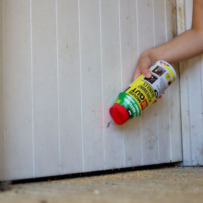 The Big Cheese Mouse Out Peppermint Granules - 350g image(3)