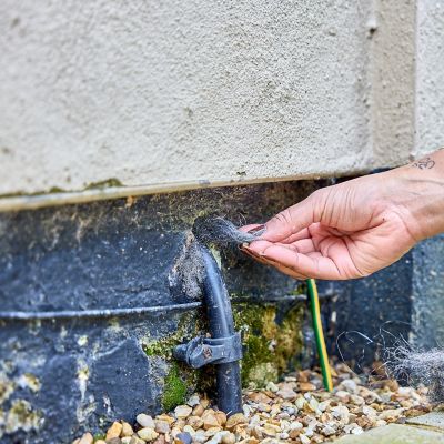 The Big Cheese Mouse Out Wire Wool image(4)