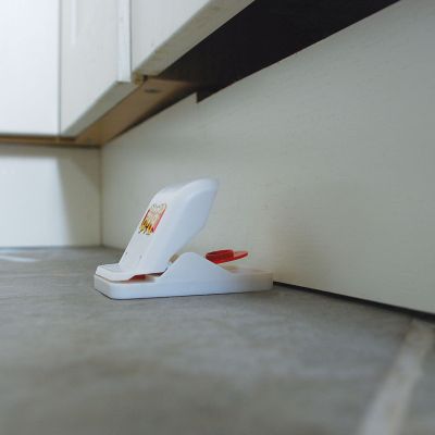 The Big Cheese Quick Click Mouse Trap Twinpack image(4)