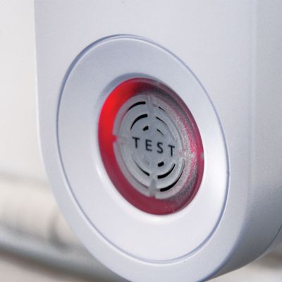 The Big Cheese Sonic Mouse and Rat Repeller Plug-in image(2)