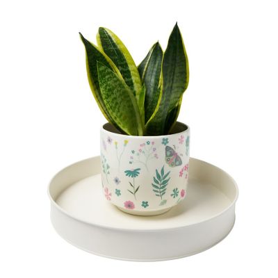 Lakeland 34cm Round Metal Tray