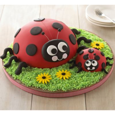 Ladybird Cake | Recipes | Lakeland